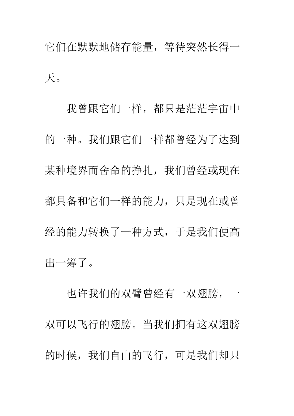 关于理想的作文隐形的翅膀_第3页