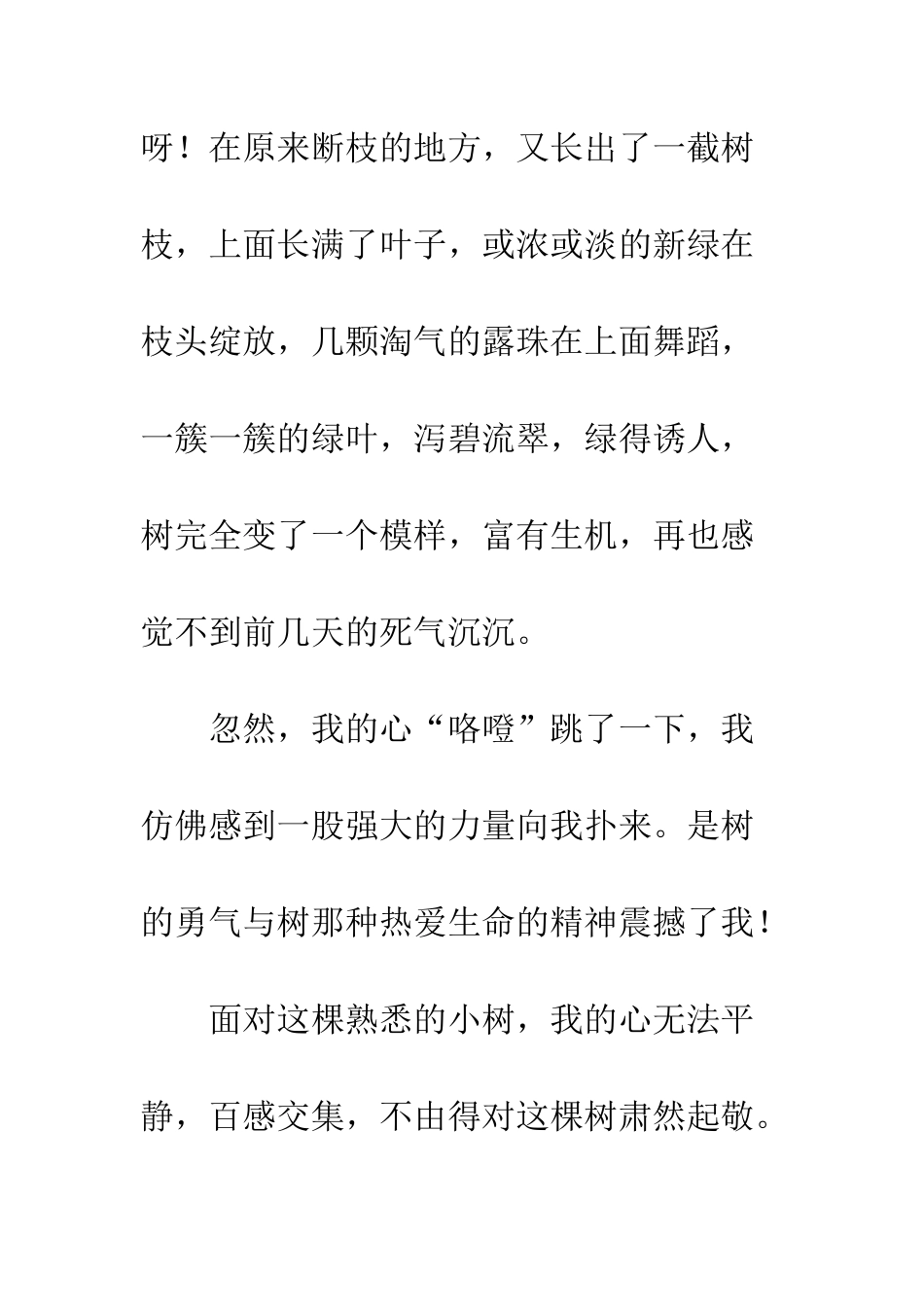 关于生命的作文树-生命_第2页