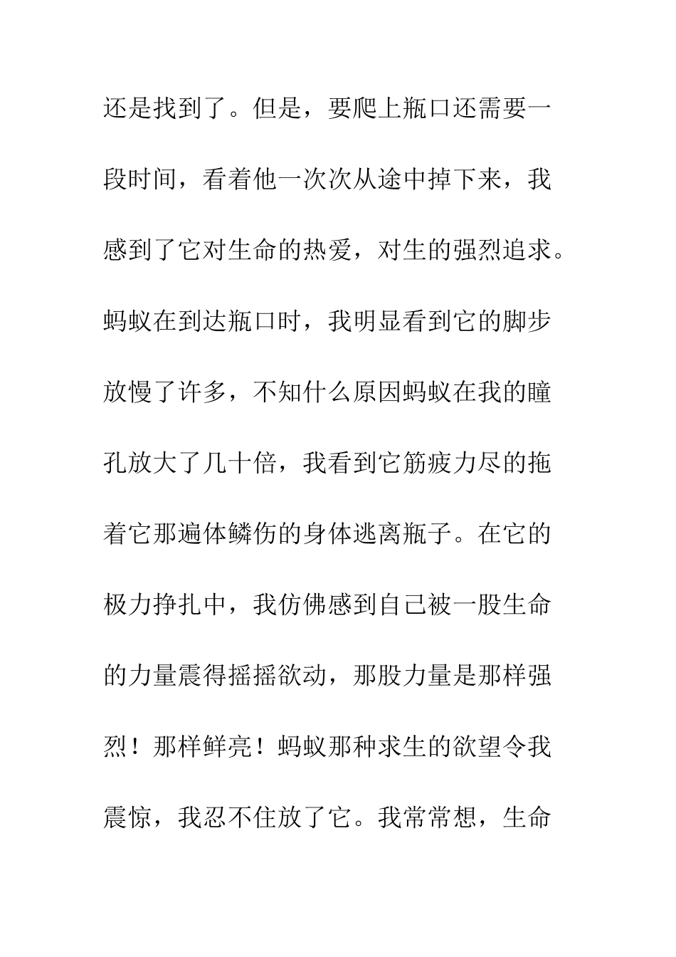 关于生存的作文朋友-一起来认识生命吧!_第3页