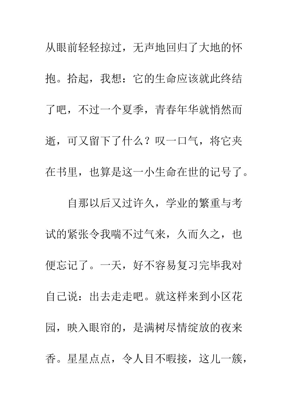 关于青春的作文青春小记_第2页