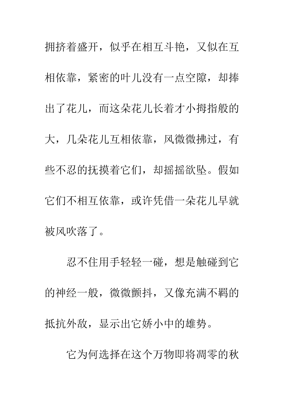 关于青春的作文青春荒唐不负你。_第3页