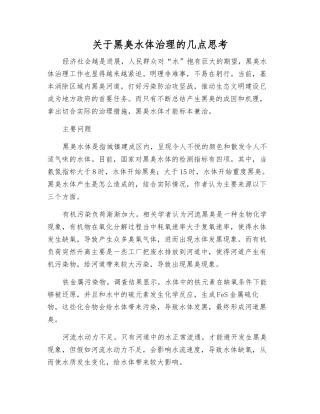 关于黑臭水体治理的几点思考