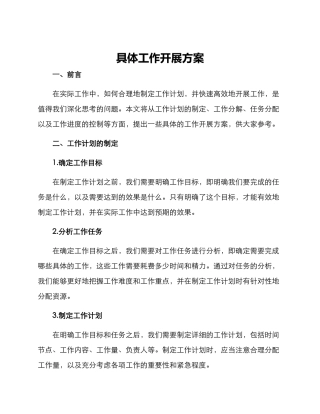 具体工作开展方案