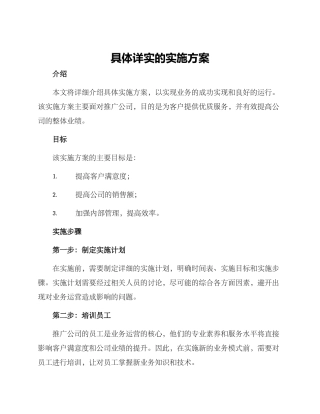 具体详实的实施方案