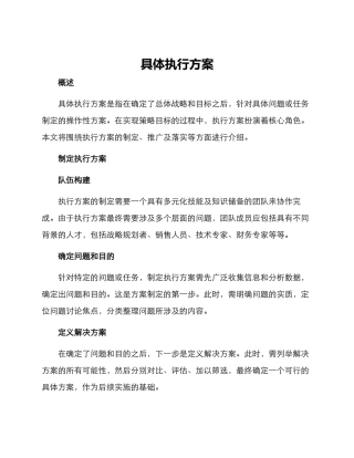 具体执行方案