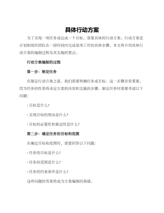 具体行动方案