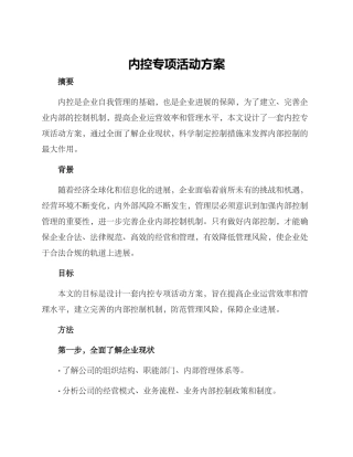 内控专项活动方案