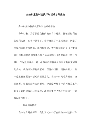 内控和案防制度执行年活动总结报告