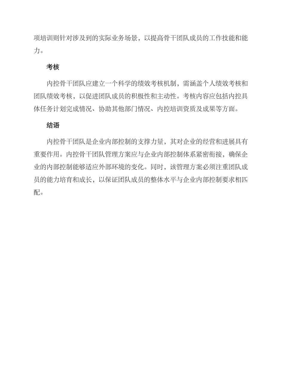 内控骨干团队管理方案_第3页
