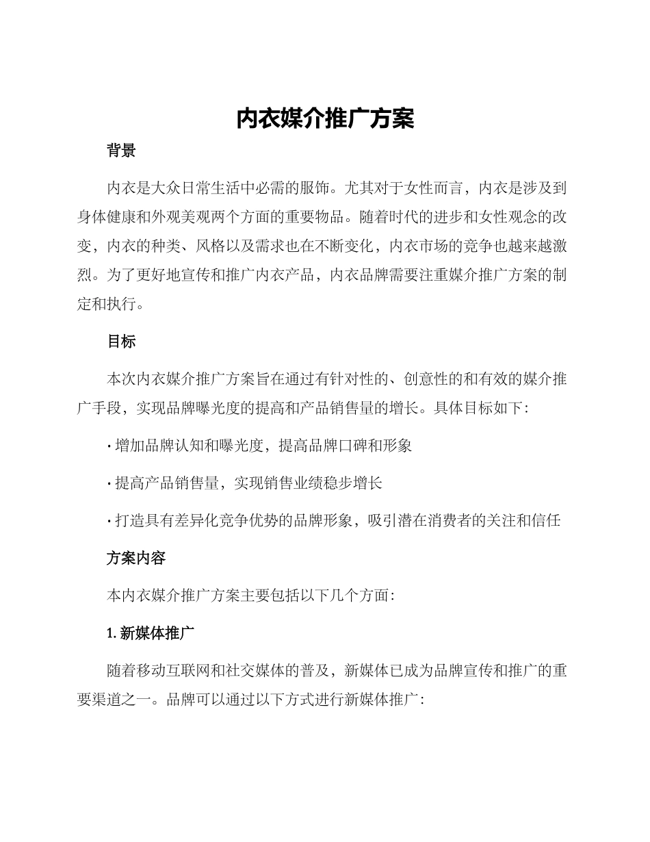内衣媒介推广方案_第1页