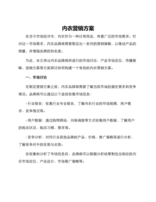 内衣营销方案