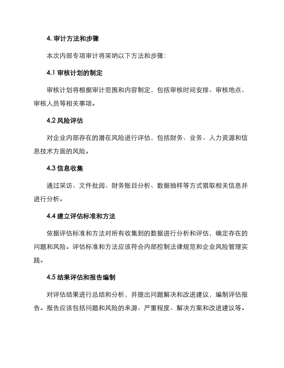 内部专项审计方案_第3页