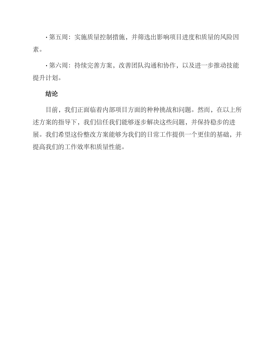 内部项目整改方案_第3页
