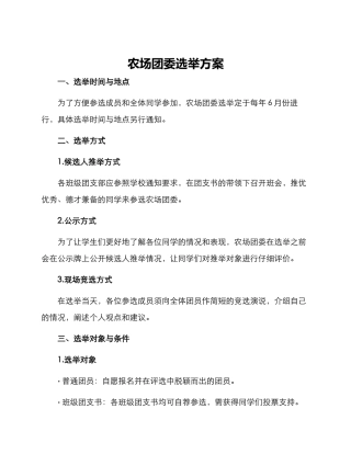 农场团委选举方案