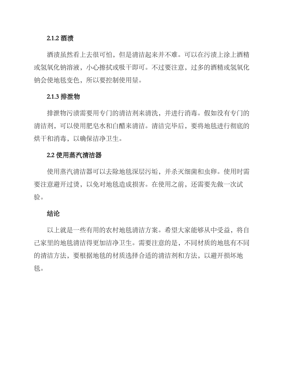 农村地毯清洁方案_第2页