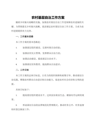 农村基层自治工作方案