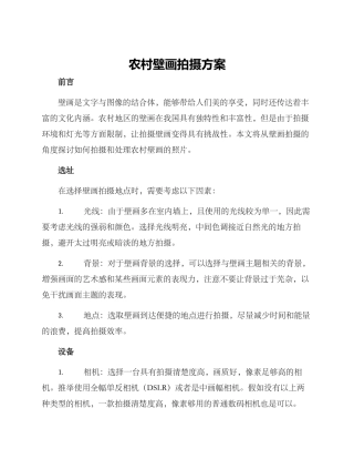 农村壁画拍摄方案