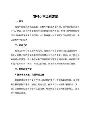 农村小学经营方案