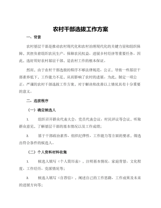 农村干部选拔工作方案
