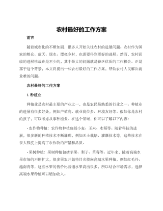 农村最好的工作方案