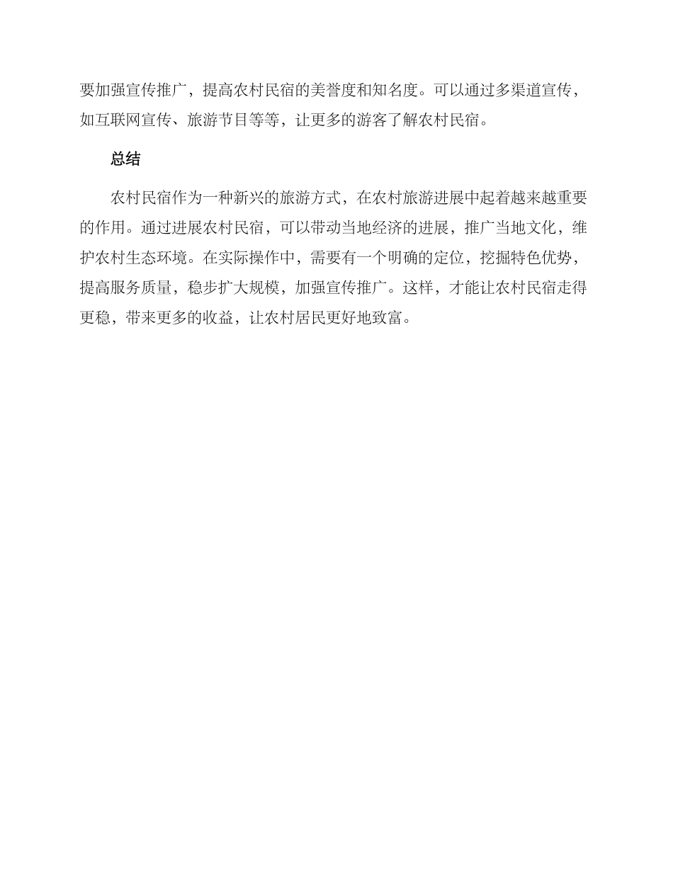 农村民宿致富方案_第3页