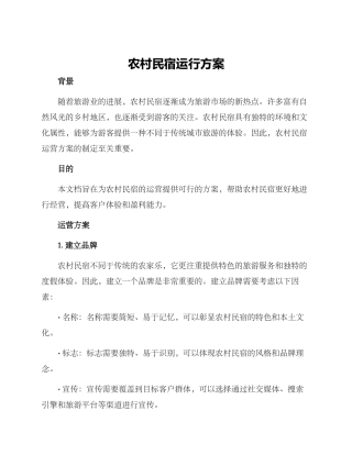 农村民宿运行方案