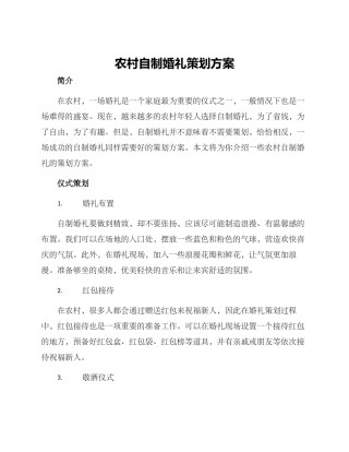 农村自制婚礼策划方案