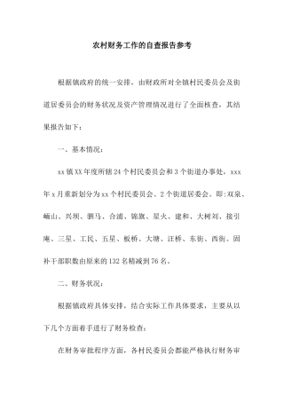 农村财务工作的自查报告参考