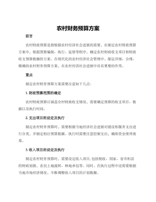 农村财务预算方案