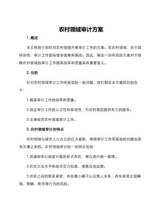 农村领域审计方案