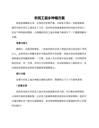 农民工返乡种植方案