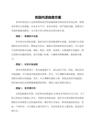 农田内涝自救方案