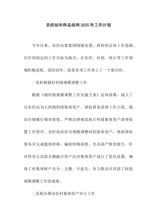 农经站年终总结和2025年工作计划