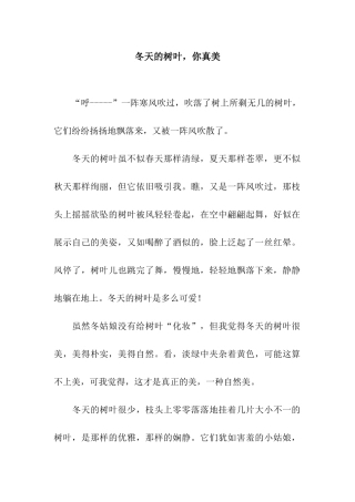 冬天的树叶-你真美