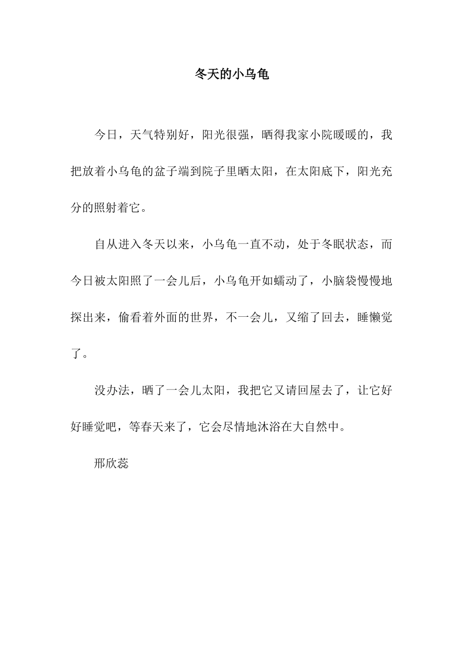 冬天的小乌龟_第1页