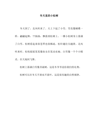 冬天里的小松树