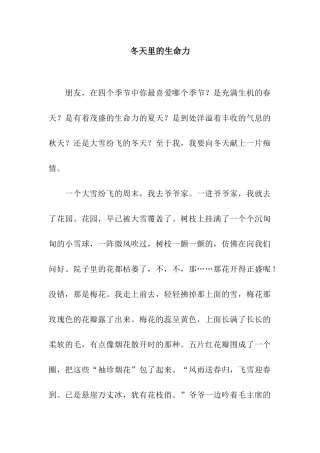冬天里的生命力