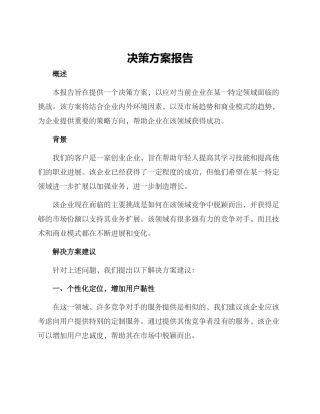 决策方案报告