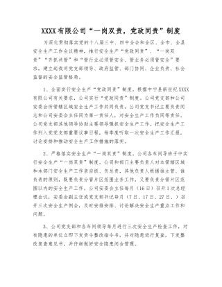 冶炼有限公司“一岗双责-党政同责”制度