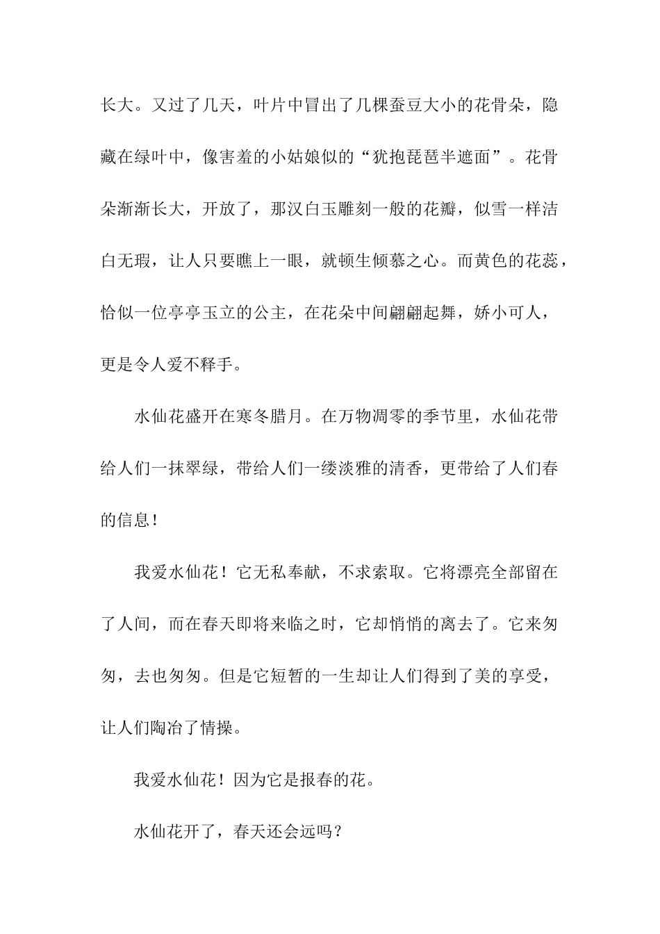 凌波仙子——水仙花_第2页