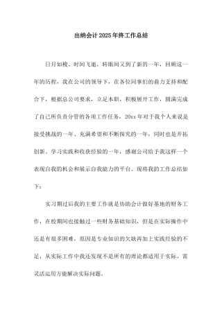 出纳会计2025年终工作总结