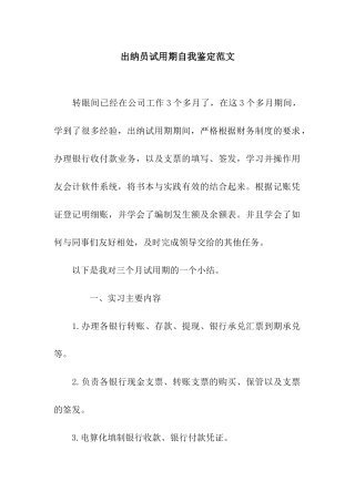 出纳员试用期自我鉴定范文