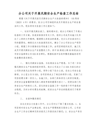 分公司关于开展汛期安全生产检查工作总结