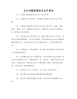 分公司副经理安全生产责任