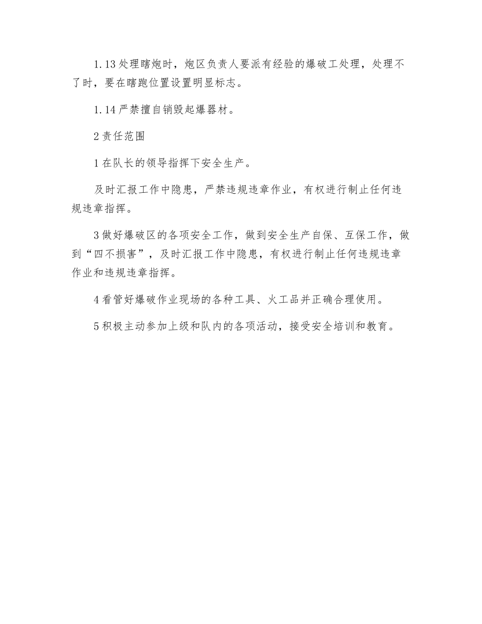 分公司爆破工岗位规范_第2页
