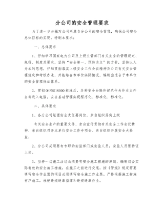 分公司的安全管理要求