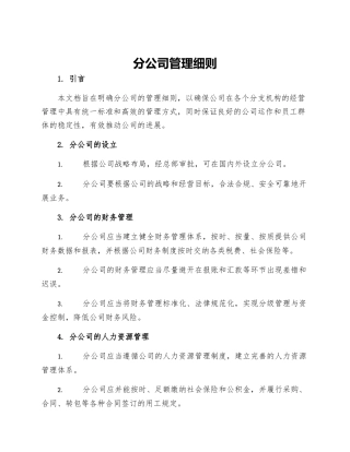 分公司管理细则