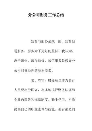 分公司财务工作总结--精编范文