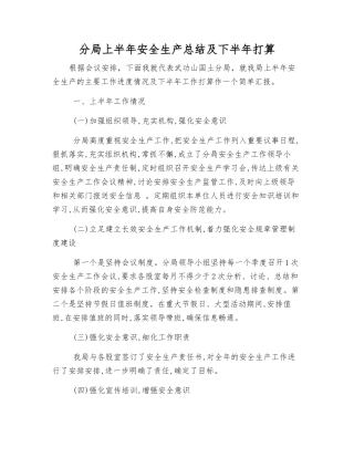 分局上半年安全生产总结及下半年打算