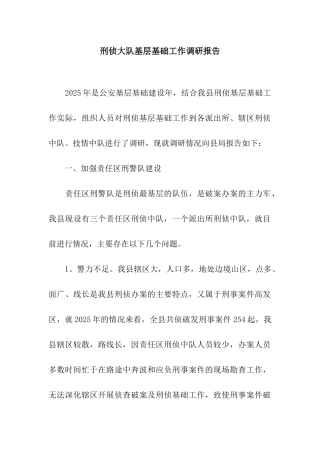 刑侦大队基层基础工作调研报告